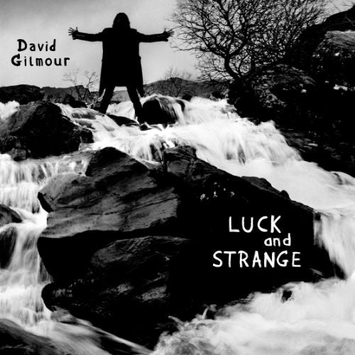 David Gilmour Luck And Strange LP Vinile Nero