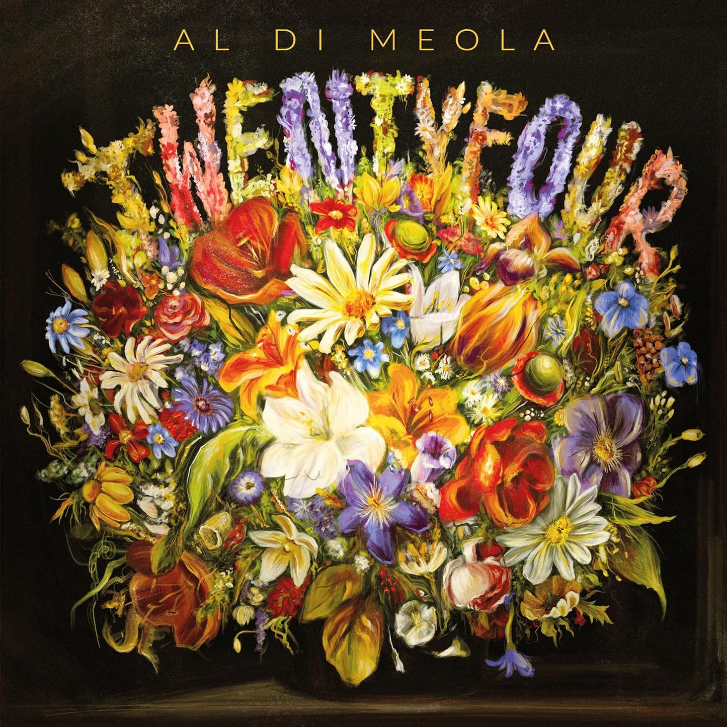 Al Di Meola Twentyfour DOPPIO CD