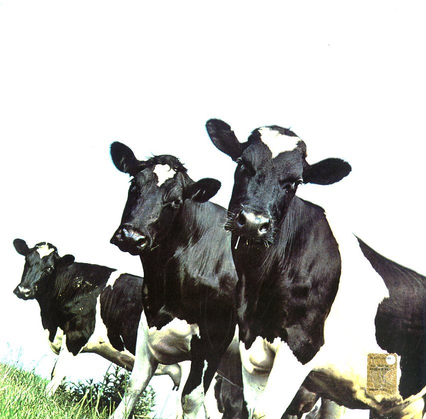 Pink Floyd Atom Heart Mother Vinile Nero