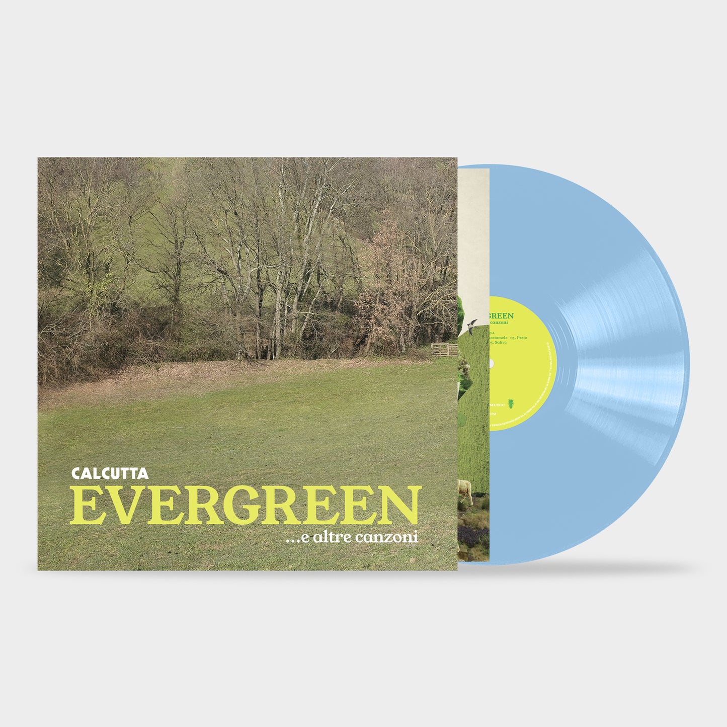 Calcutta Evergreen... E Altre Canzoni Doppio LP Vinile Azzurro 180Gr. Ristampa Edizione Limitata