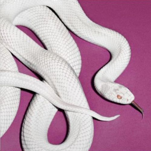 Deftones Private Music CD Softpack Limitato Copertina Alternativa Esclusiva Indie