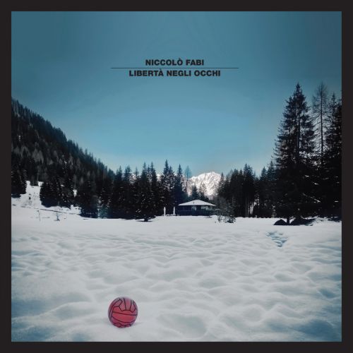 Niccolò Fabi Libertà Negli Occhi Cd Book Edizione Limitata E Numerata