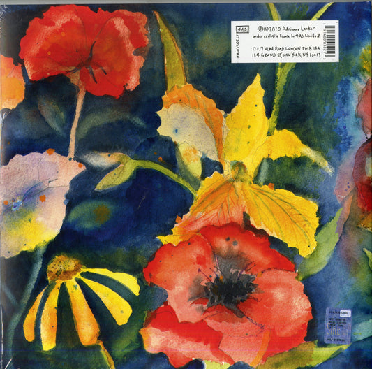 Adrienne Lenker Songs And Instrumentals Doppio Vinile Nero