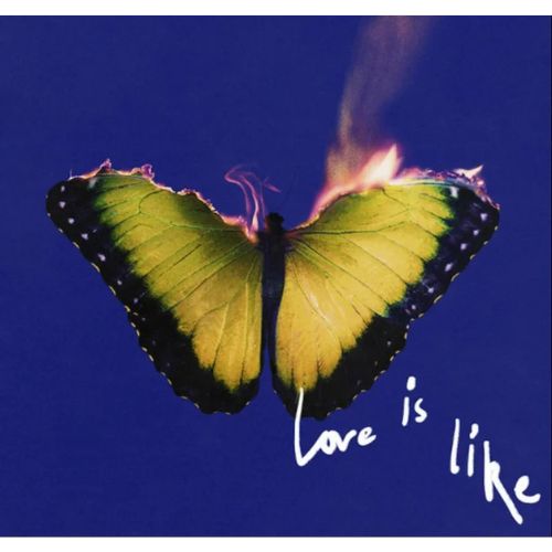 Maroon 5 Love Is Like Vinile Blu Elettrico LP Limitato Esclusiva Indie