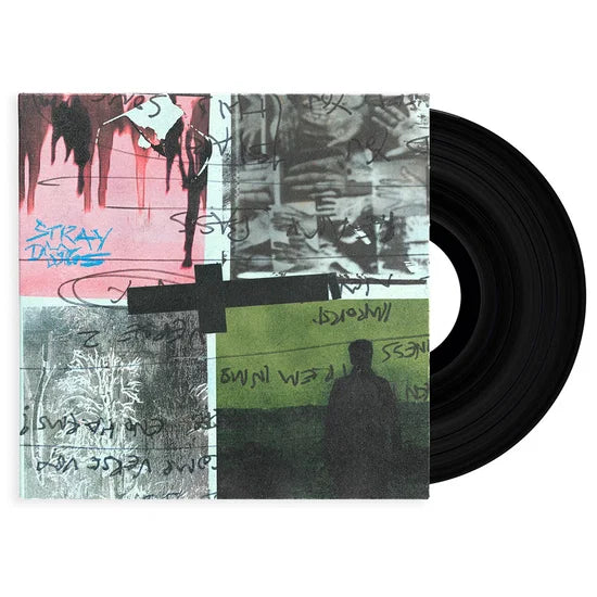 Nothing But Thieves Stray Dogs LP Nero Pre Order Dal 25 Settembre