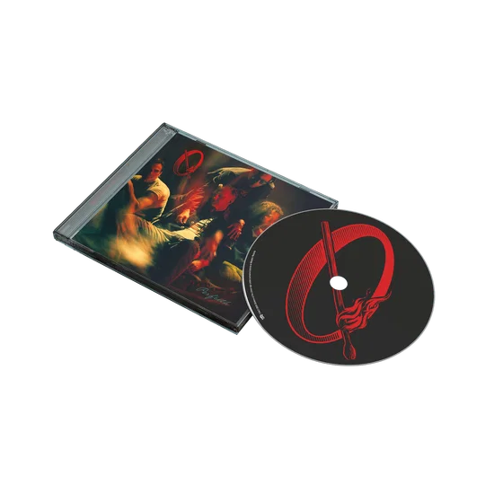 Queens Of The Stone Age Perfecth LP Vinile Nero Pre Order Dal 30 Ottobre