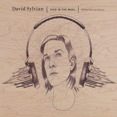 David Sylvian Died In The Wool Doppio Vinile Nero Remastered 2025