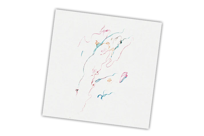 Miles Davis Decoy LP Vinile Colorato   180 Grammi Audiophile Vinyl