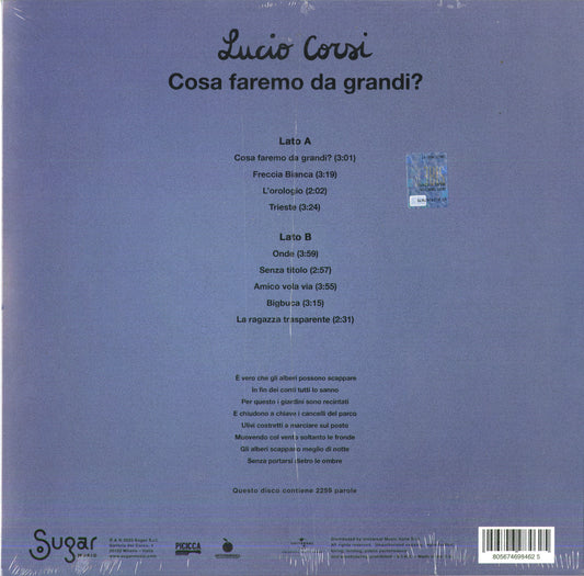 Lucio Corsi Cosa Faremo Da Grandi LP Vinile