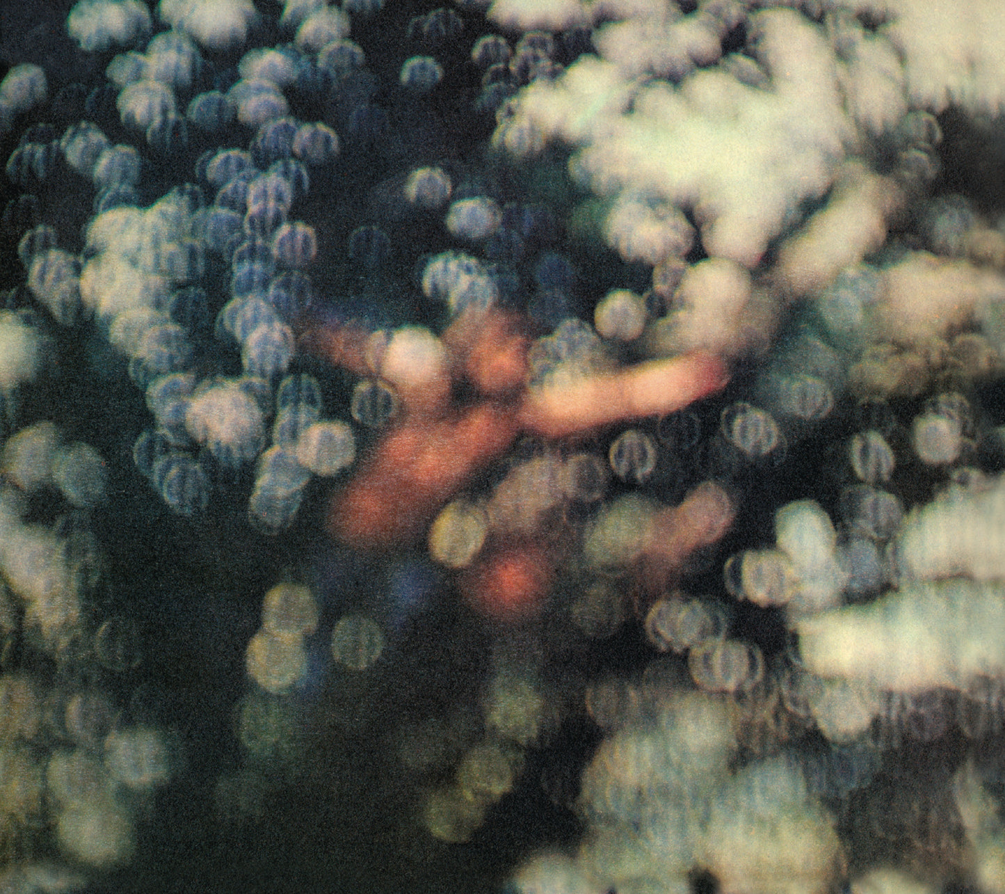 Pink Floyd Obscured by Clouds  Remastered  180gr. LP Vinile Nero  Ristampa Sony