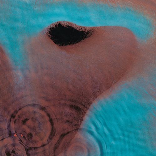 Pink Floyd Meddle  CD