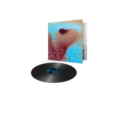 Pink Floyd Meddle LP Vinile Nero  Ristampa Sony