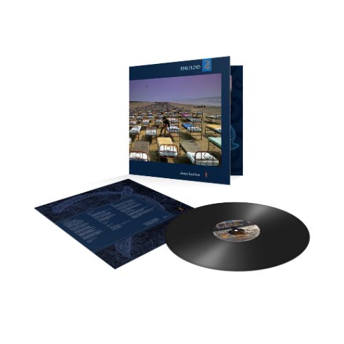 Pink Floyd A Momentary Lapse Of Reason LP Vinile Nero  Ristampa Sony