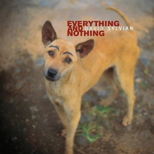 David Sylvian  Everything And Nothing Box 3 LP Vinile