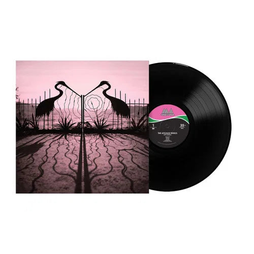 Afghan Whigs – Soft Control LP Vinile Nero | Pre-Order