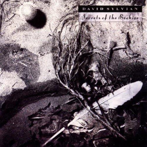 David Sylvian Secrets Of The Beehive Remaster 2003 VInile Nero