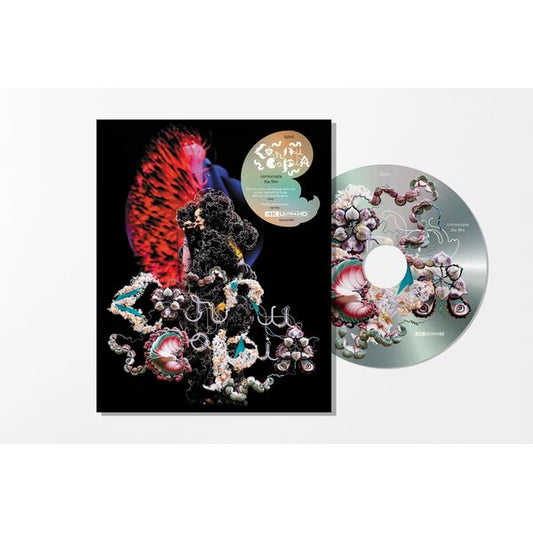 Bjork Cornucopia : Live   Blu-Ray 4K Limited Edition Pre Order Dal 24 Ottobre