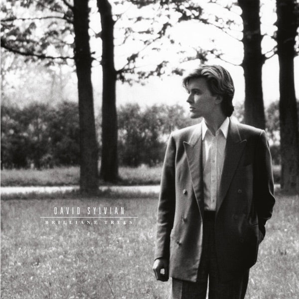 David Sylvian Brilliant Trees Remaster 2003 Vinile Nero LP
