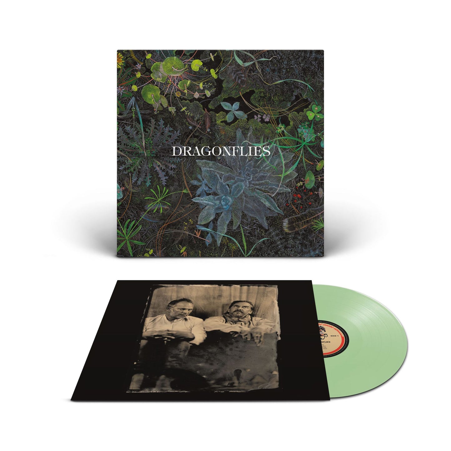 Dragonflies – Dragonflies LP Vinile Verde Indie Exclusive Pre Order Dal 18 Settembre