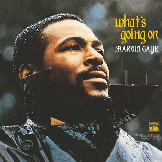 Marvin Gaye What'S Going On Vinile Nero LP