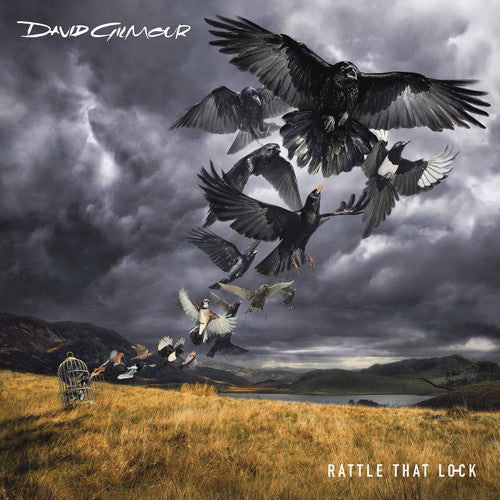 David Gilmour Rattle That Lock CD + DVD  Box Deluxe Edition