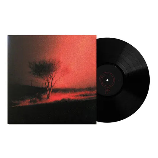 Joji Piss In The Wind Vinile Nero LP