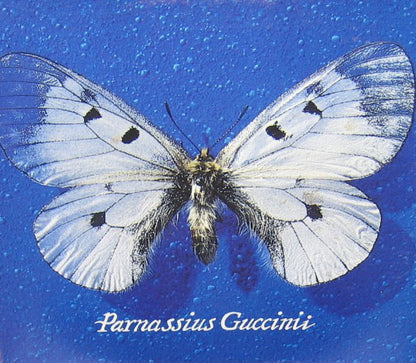 Francesco Guccini Parnassius Guccini LP Vinile Nero