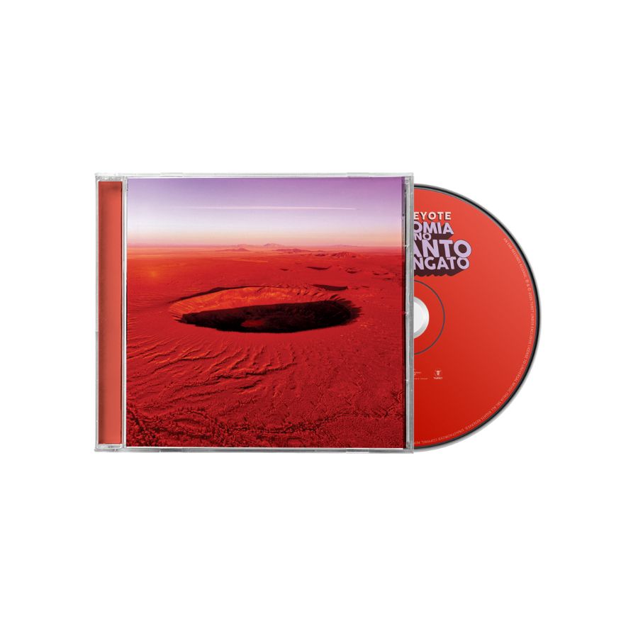 Willie Peyote Anatomia Di Uno Schianto Prolungato CD Pre Order Disponibile Dal 15 Maggio