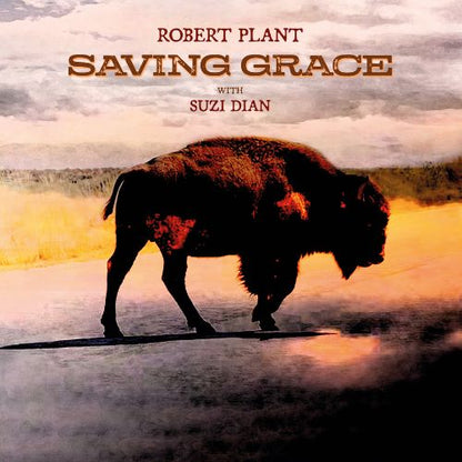 Robert Plant Saving Grace LP Vinile Nero