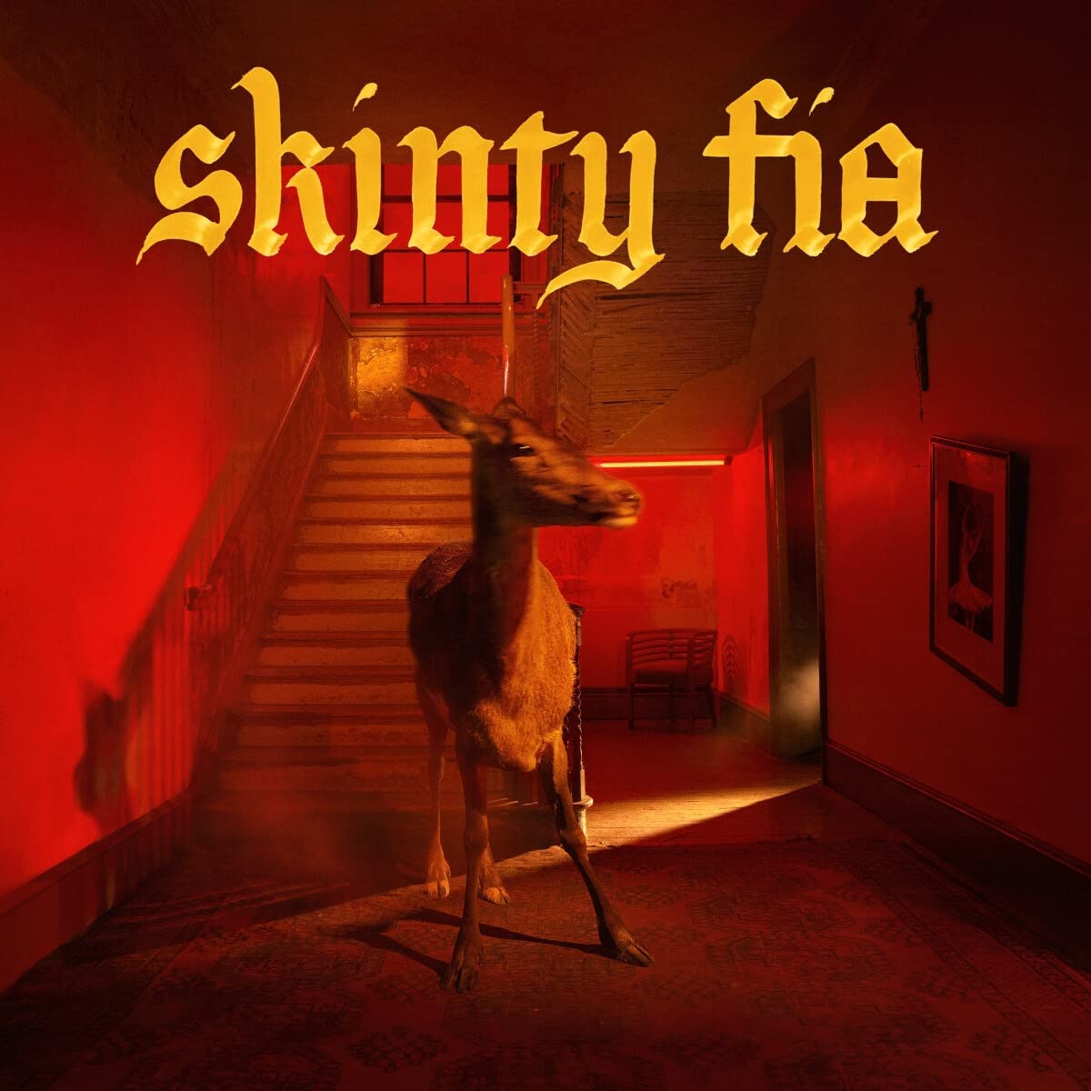 Fontaines D.C. Skinty Fia CD