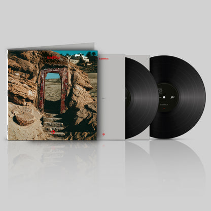 Subsonica Terre Rare Doppio Vinile Grigio Marmorizzato LP