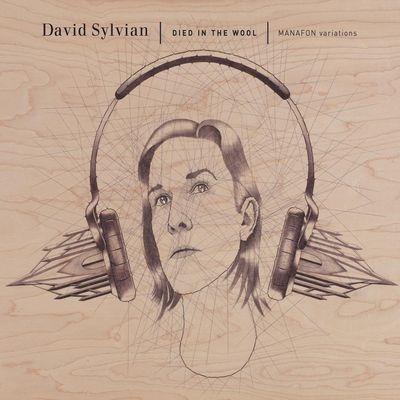 David Sylvian Died In The Wool Doppio Vinile Nero Remastered 2025