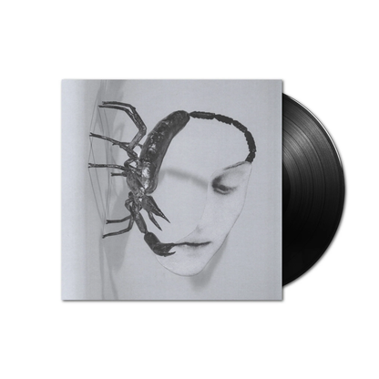 Tortoise Touch Vinile Nero LP