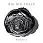 Big Big Train Woodcut CD Pre Order Dal 6 Febbraio