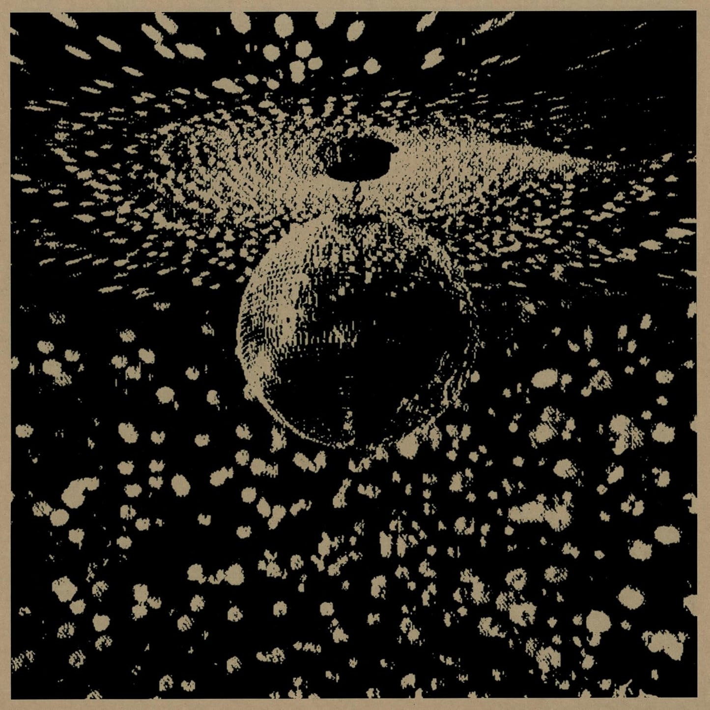 Neil Young Mirror Ball 2 LP Nero Ristampa 2026